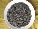 french lentils