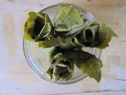 grape leaf rolls in jar