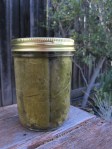 jar of grape leaves