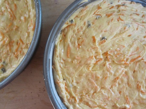 fill pans with batter